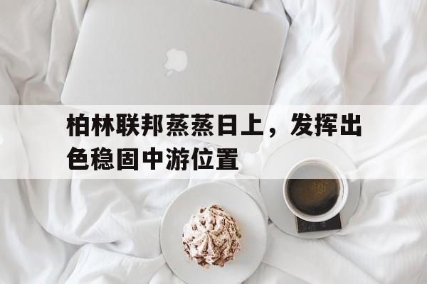 华体会官网登录网址-包含柏林联邦蒸蒸日上，发挥出色稳固中游位置的词条