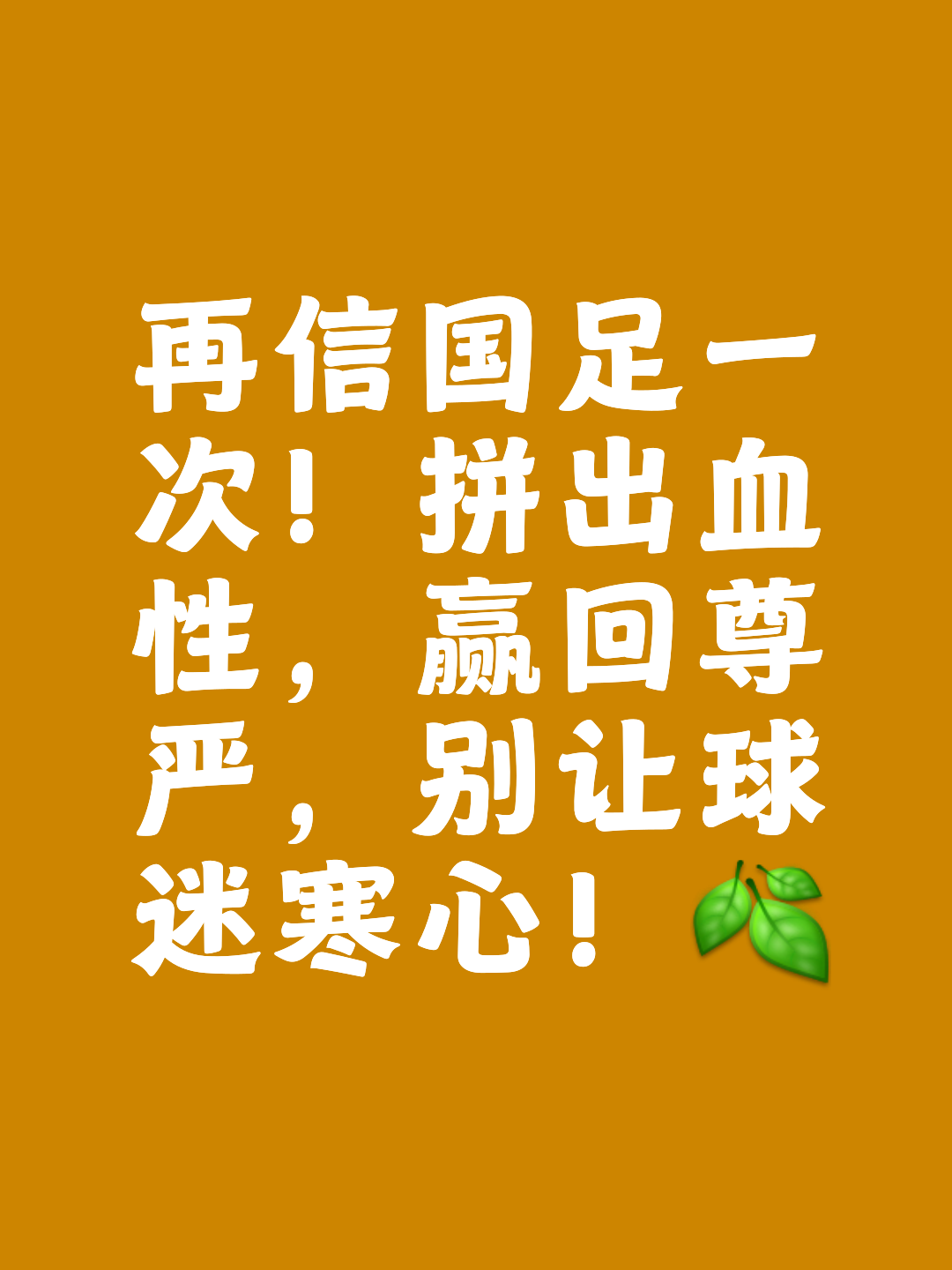 华体会vip注册-足坛大事件！国际锦标赛决出最终胜者
