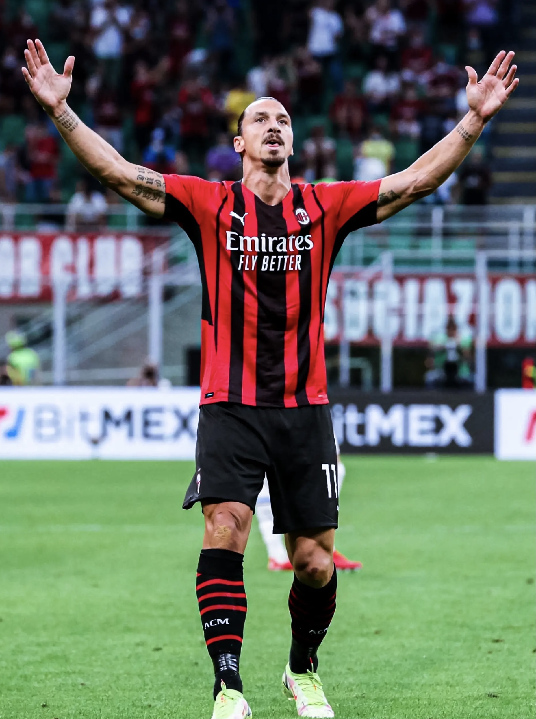 包含AC米兰官方确认伊布拉希莫维奇接受膝盖手术,赛季报销的词条 包含AC米兰官方确认伊布拉希莫维奇接受膝盖手术,赛季报销的词条